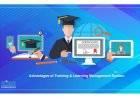 Advantages of Training & Learning Management System