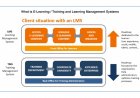 Difference Between Training Management VS Learning Management System