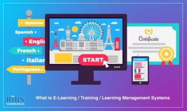 What is E-Learning / Training / Learning Management Systems