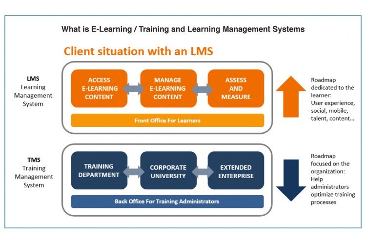 Difference Between Training Management VS Learning Management System