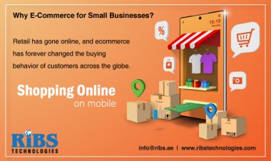 Why E-Commerce for Small Businesses?