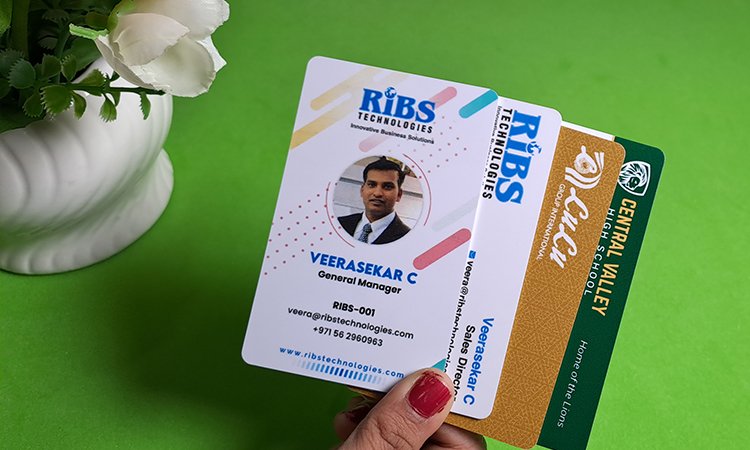 About RIBS Smart vCard